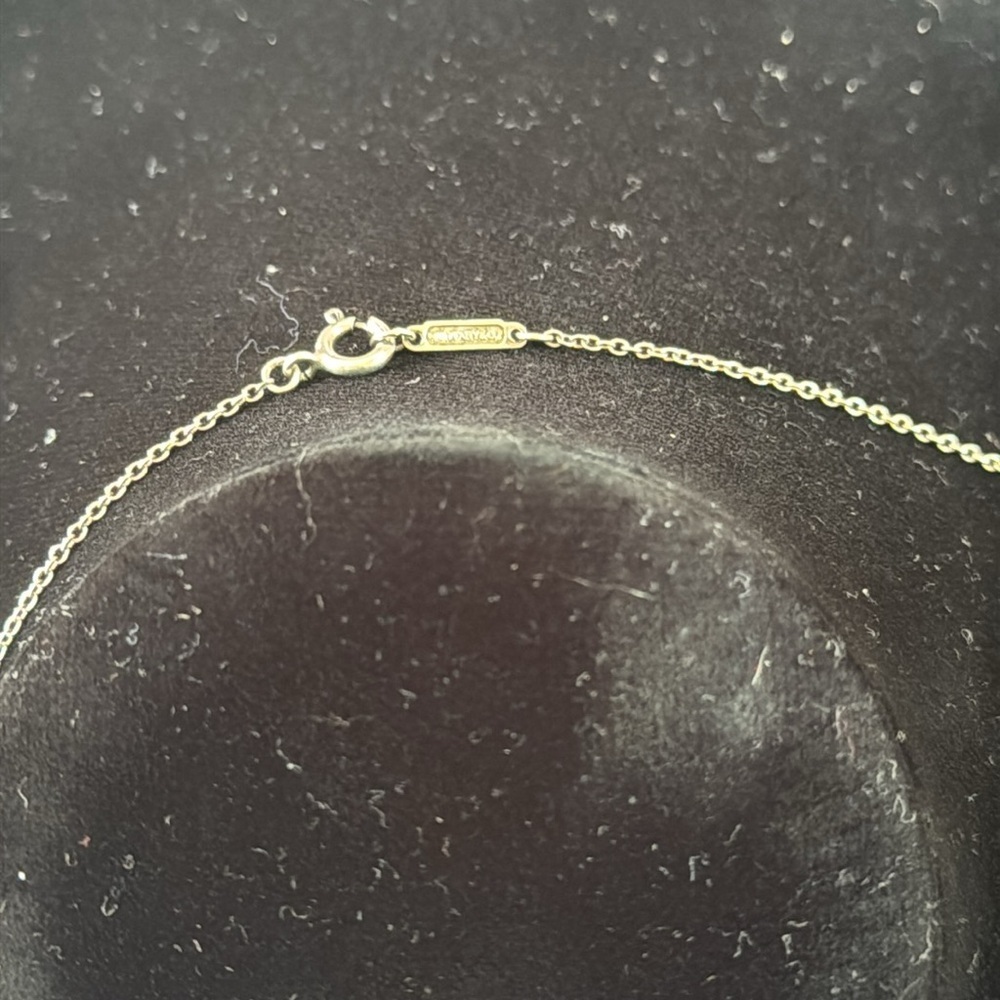 TIFFANY—Elegant sterling Silver Tiffany -authentic Necklace with Atlas Pendant - Picture 4 of 4